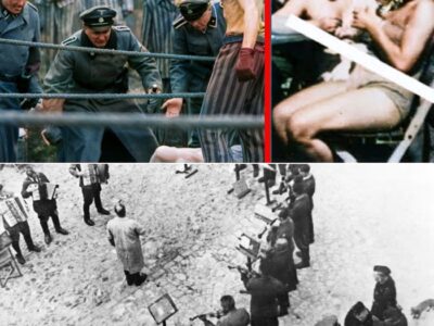 The Most Cruel “Game” of the N4ZIS? What Happened Behind the Camp Walls Still Shocks the World Today