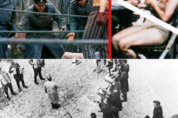 The Most Cruel “Game” of the N4ZIS? What Happened Behind the Camp Walls Still Shocks the World Today