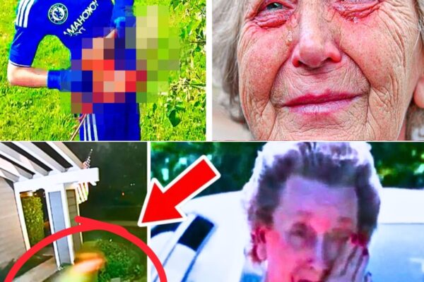 Elderly Woman Living Alone Catches 4 Boys in Her Yard—Sees What They’re Doing and Bursts into Tears