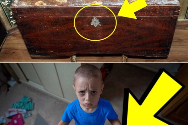 Mother THROWS Out Old TOY BOX, Turns Pale When SON Tells Her What He Hid Inside